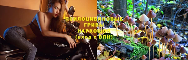 марки nbome Арсеньев